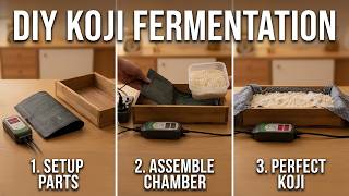 Perfect Koji Every Time: Temperature Control Hack