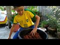 Hydrophonics materials and preparations