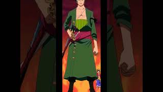 Zokey Zoro & Monkey Resimi