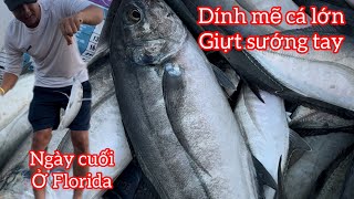 Ngày Cuối Ở Florida | Câu Trúng Mẽ Cá Giựt Sướng Tay | ko ai muốn về