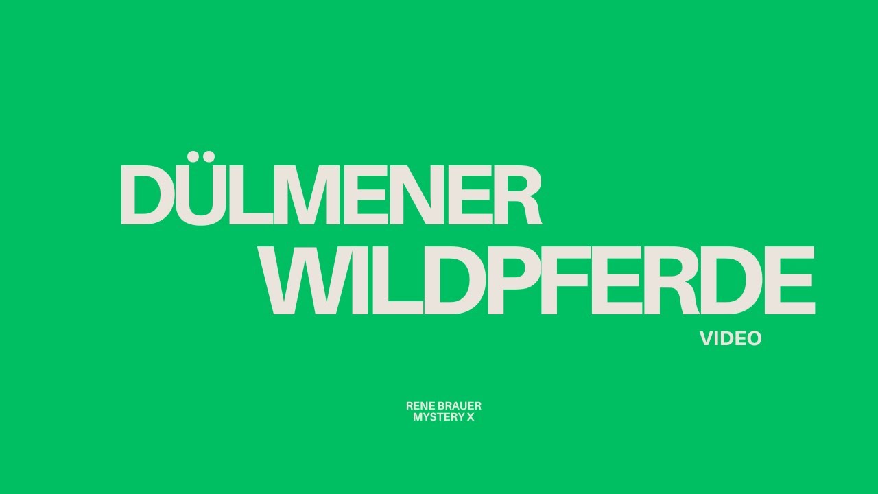 Dülmener Wildpferde Merfeld 2025