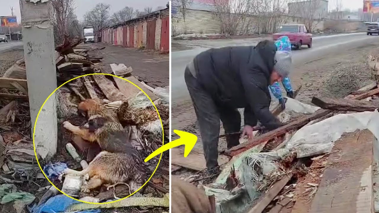 So Broken, He Chose the Trash Over Help — Even When We Tried to Save Him