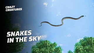 These Terrifying Snakes Can Fly
