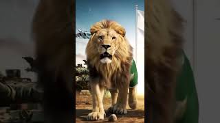 Main Pakistan Hon | Happy Defence Day | 6 September