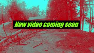 Grizzly Tree channel sneak peak.
