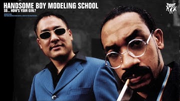 Handsome Boy Modeling School - Metaphysical