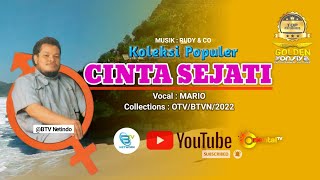 CINTA SEJATI - MARIO ( Lagu Mandarin Indonesia)
