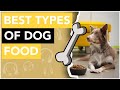 The Best Types of Food for Dogs