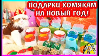 Вынесла весь ЗООМАГАЗИН / подарки ХОМЯКАМ к НОВОМУ ГОДУ / Alisa Easy Pets