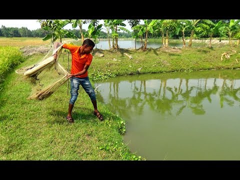 Thumbnail for Net Fishing | Unbelievable net fishing | fishing with a cast net (Part-7)
