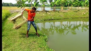 Net Fishing | Unbelievable net fishing | fishing with a cast net (Part-7)