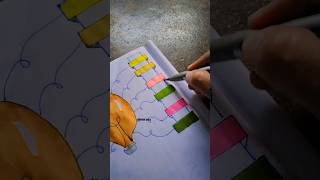 Study with Mind Maps ✍️|How I Stay Productive with Mind Maps 🧠 #studytool #studybay #studysetup