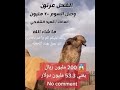 الفحل عرنون مزاين إبل السعودية