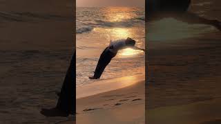 sad song sunset vibes waves lofi music Hindi song #song #lofimix #lofivibes #sunsetsong