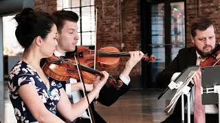 Sweet Dreams (Are Made Of This) Eurythmics | String Quartet Cover