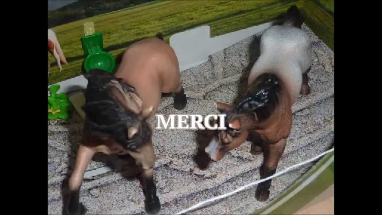 ♥Bon Anniversaire WhiteZark ! - 2 ans :')♥