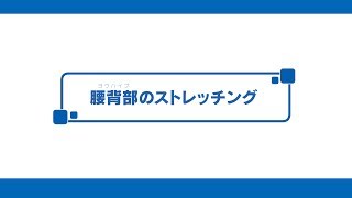 腰背部のストレッチ