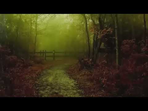 12 Hours Rain & Flute of North Americans. Native American Flute and Rain Most Amazing Relaxing Music