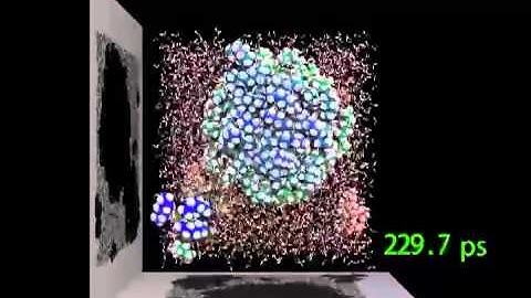 Oil and water separation by molecular dynamics simulation
