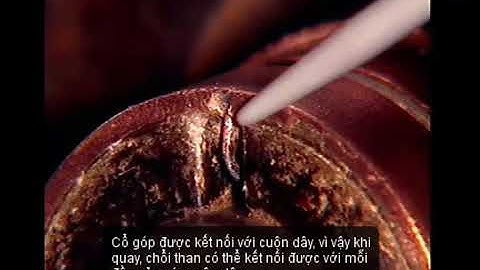 Cổ góp và Chổi than