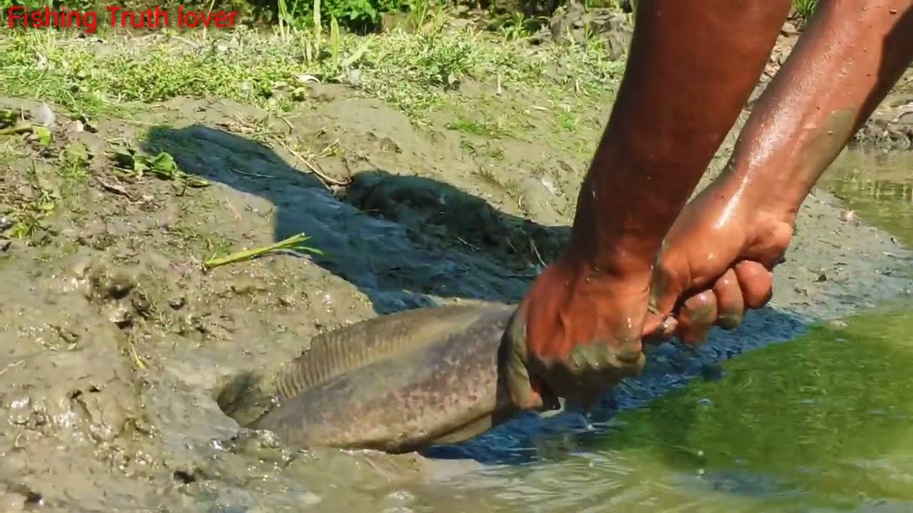 Amazing Hole Fishing By Hand || Fishing Truth Love