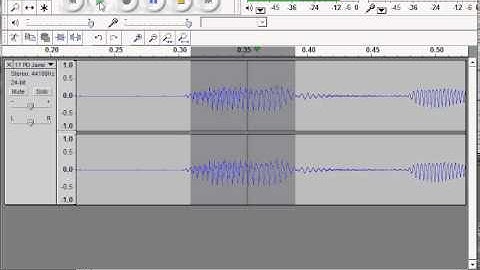 Audacity Zoom and Scroll for T215