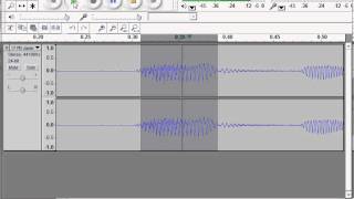 Audacity Zoom and Scroll for T215
