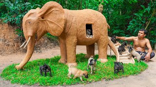 Rescue Dogs And Build Elephant Dog House - Build House For Puppies