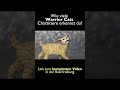 Wie viele WARRIOR CATS erkennst du? #shorts #warriorcats