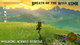 Breath of the Wild ASMR ⛰ Walking Across Hyrule  Close Up Whispers