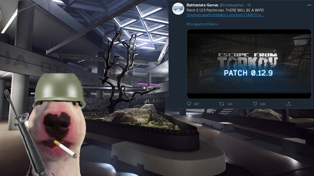 The 100 Round Nut Buster - Escape From Tarkov Before Wipe Day Memes - EFT Memes