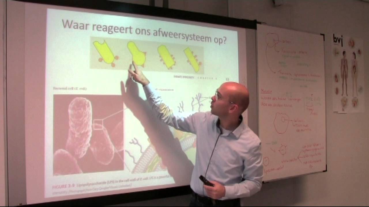 biologiepagina Ontstekingsreactie