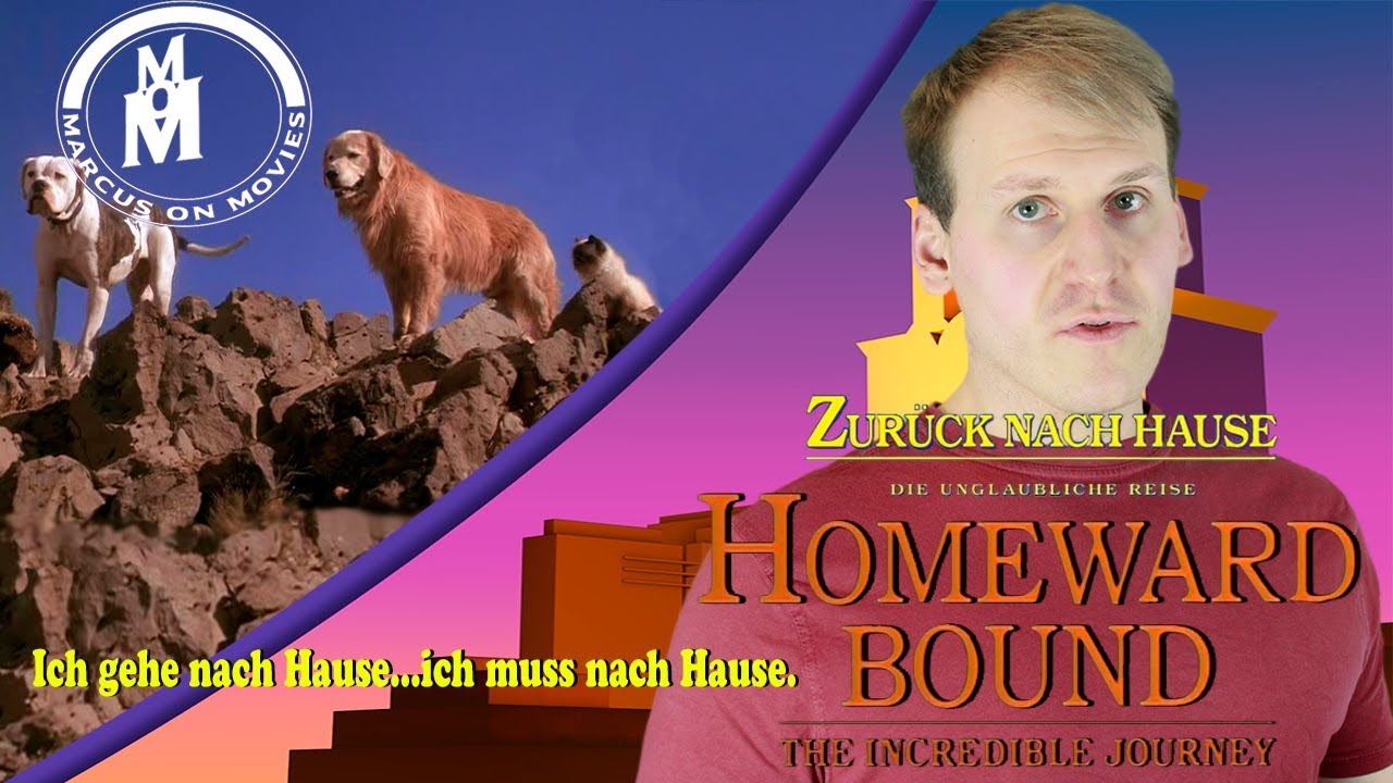 Zuruck Nach Hause Review Analyse Marcus On Movies Youtube