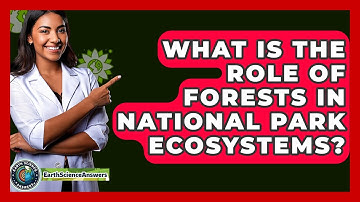 What Is The Role Of Forests In National Park Ecosystems? - Earth Science Answers