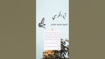 #القرآن_الكريم #اكسبلور #تلاوة_خاشعة #ماهر_المعيقلي #ياسر_الدوسري #تيك_توك #ترند #لايك #قرآن #تلاوات