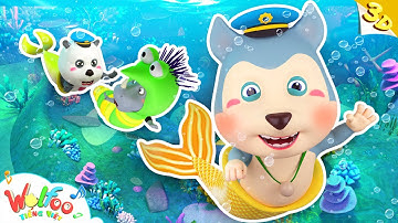 Hai Vây Xinh Xinh, Cá Vàng Bơi Trong Bể Nước 🐠 Wolfoo Bảo Vệ Môi Trường | Wolfoo - Nhạc Thiếu Nhi