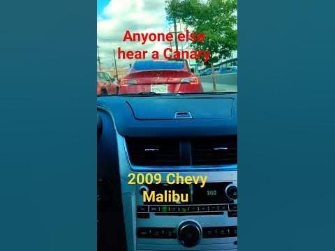 Squeaky Belt Or Pulley Chevy Malibu engine makes squeak sound - YouTube