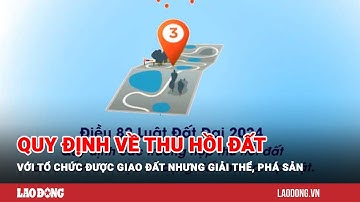 Quy định về thu hồi đất với tổ chức được giao đất nhưng giải thể, phá sản | Báo Lao Động