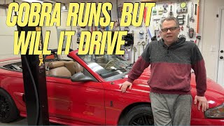 Finishing up and Test Driving the 97 Cobra (Part 21)