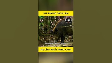 Khi phong cách làm mẹ đỉnh nhất rừng xanh - end #animals #dongvat #thegioidongvat
