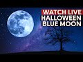 Halloween Blue Moon LIVE: 🎃🎃🎃 Rare Full Moon on Halloween Night