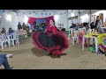 Dança Cigana - Música: Canção do mar/ Dulce Pontes