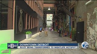 Detroit alley being transformed