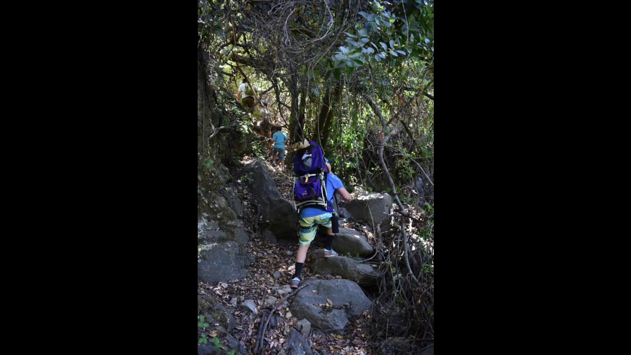 Tour full day huelquen