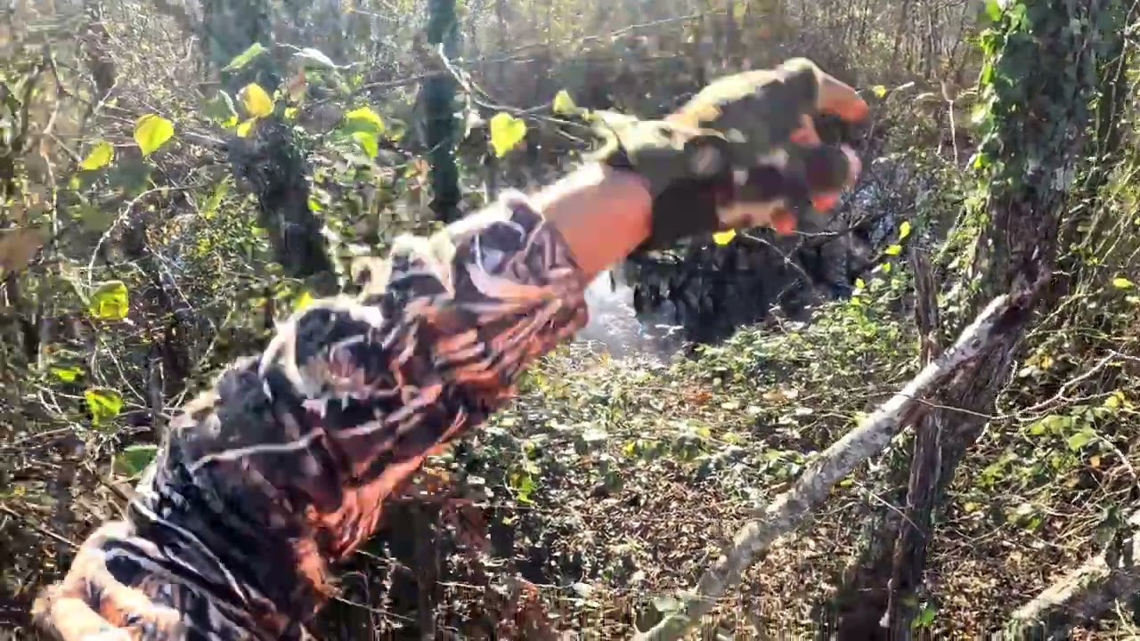  ტყის ქათამზე ნადირობა მესსი ფორმაშია & მსროლელმა ცოტა უმტყუნა. #messi #hunter #woodcock #pointer. 