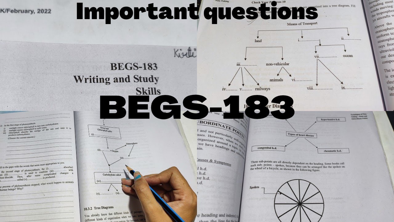 begs-183-important-topics-for-begs-183-writing-and-study-skills