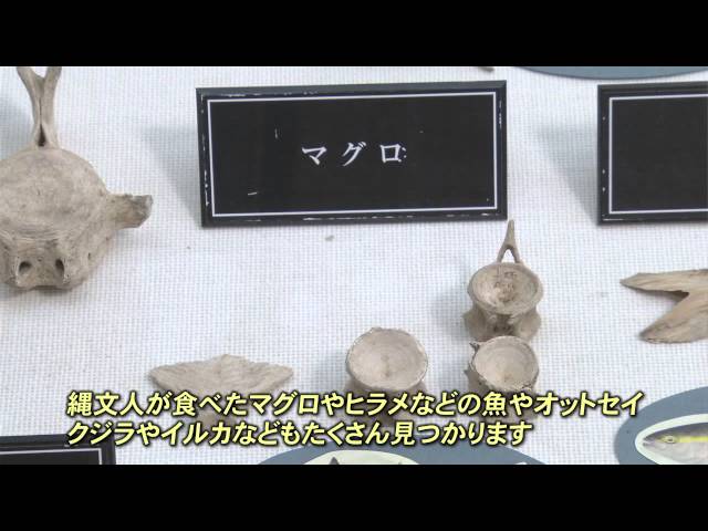 北黄金貝塚（伊達市） - YouTube