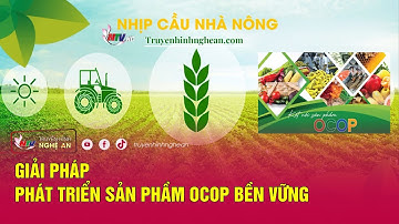 [🔴Trực tiếp] Nhịp cầu nhà nông: Giải pháp phát triển sản phầm OCOP bền vững