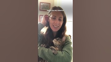 Aggressive Cat Melts When She Gets To Know Her New Mom | The Dodo
