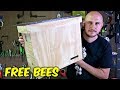 How to Build a Bait Hive? How to Build a Bait Hive?